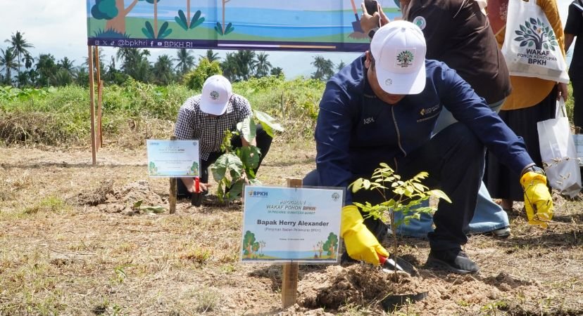 BPKH dan Muhammadiyah Luncurkan Wakaf Pohon, Tanam 1.100 Pohon di Sumbar